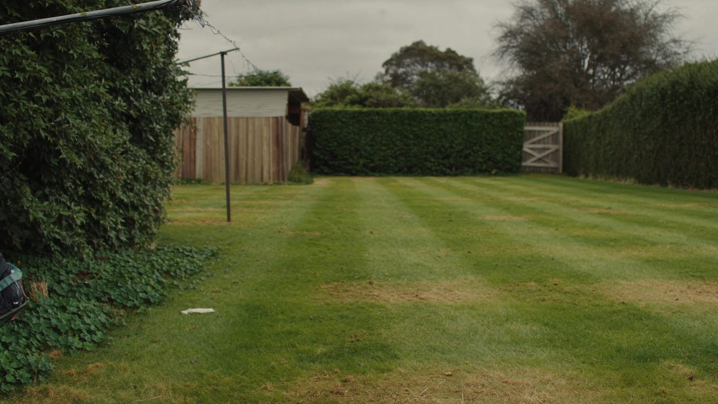 A neatly maintained back lawn with clipped hedging