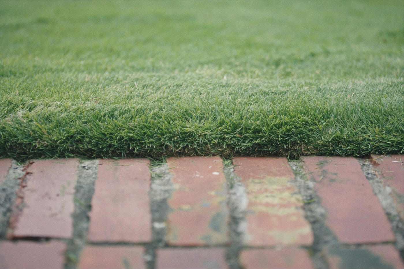 A precise lawn edge beside a weathered brick path